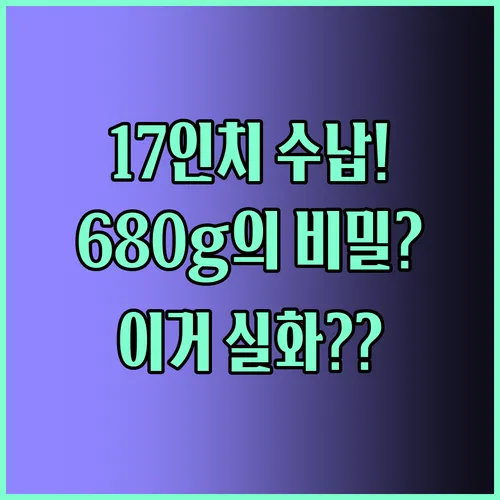 17인치 노트북도 거뜬하다 초경량 680g 괴물 백팩의 비밀