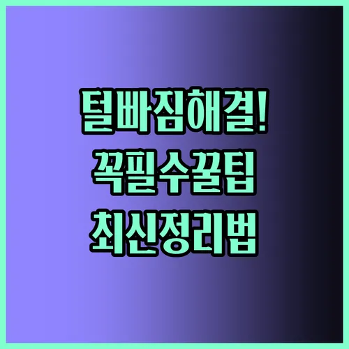 애견털정리 완벽 정리